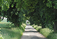 Galeriebild Landschaft 1