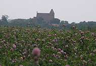 Galeriebild Landschaft 2