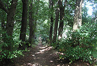 Galeriebild Landschaft 3
