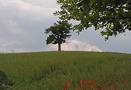 Galeriebild Landschaft 5