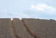 Galeriebild Landschaft 11