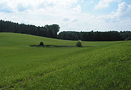 Galeriebild Landschaft 13