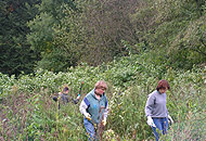 Studentenworkshop Semlow 2006 Bild 7